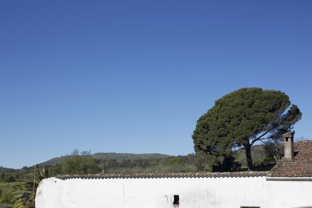 La Grulla Dorada Casa de hóspedes Perales del Puerto Exterior foto